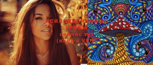 дживик Армянск