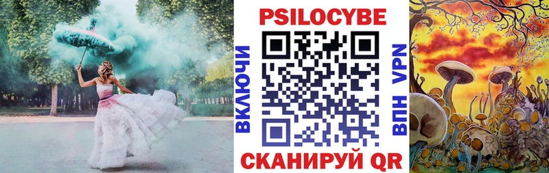 Псилоцибиновые грибы Cubensis  Магадан 